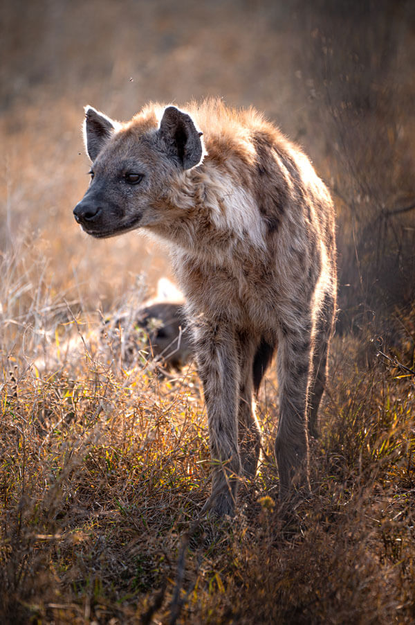 Gallery impression 10